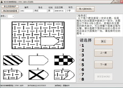 SPM瑞文标准推理测验系统